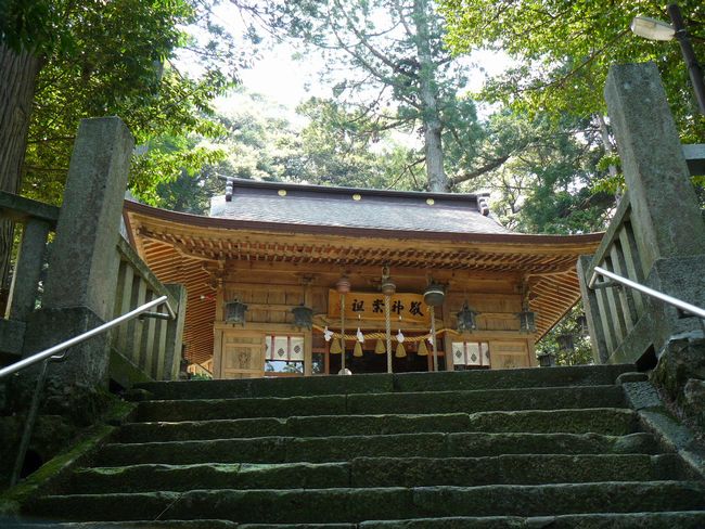 �F�s��_��