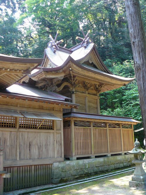 �F�s��_��