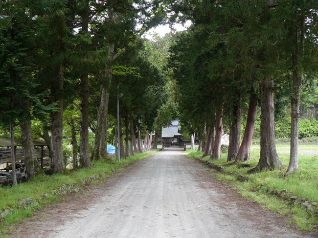 �g�X�����_��