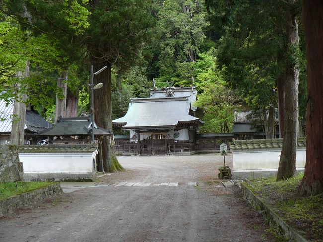 �g�X�����_��