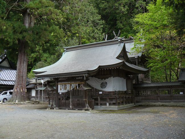 �g�X�����_��