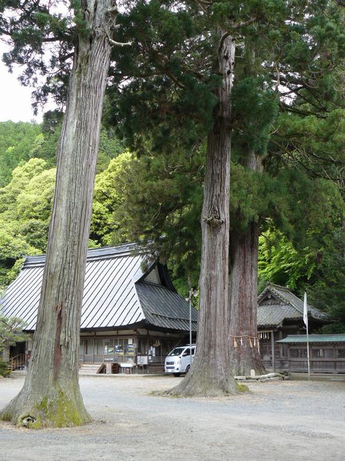 �g�X�����_��