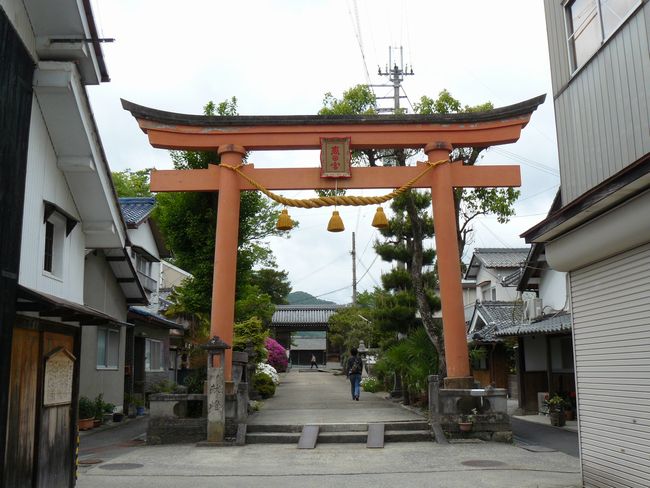 �t���_��