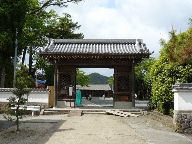 �t���_��