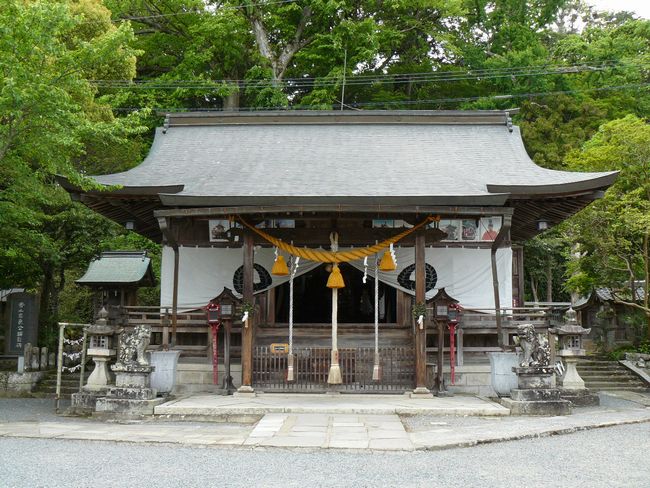 �t���_��