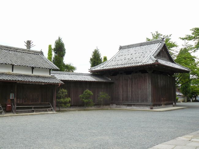 �t���_��