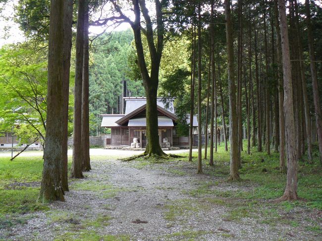 ���Α��_��