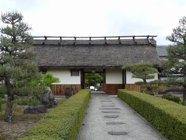 ���V��ƒ�����