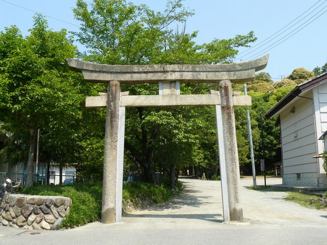 ���z�_��