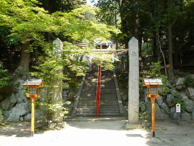 ���z�_��