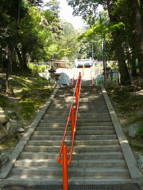 ���z�_��