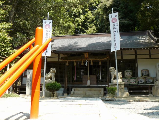 ���z�_��