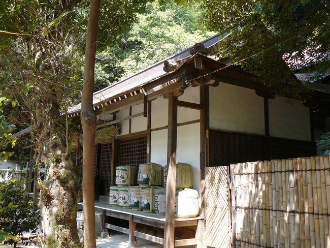 ���z�_��