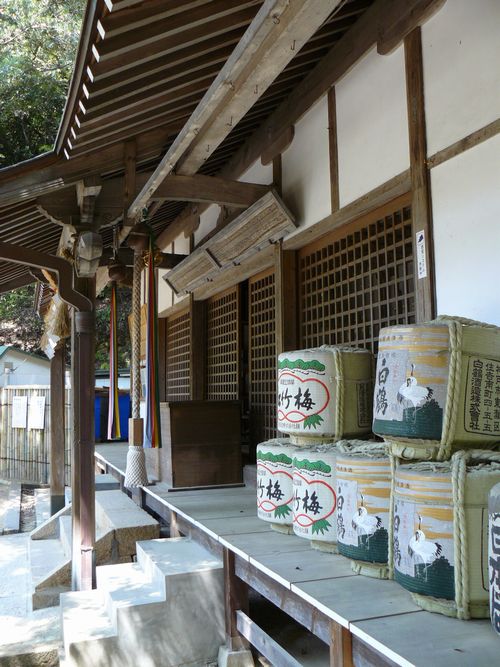 ���z�_��