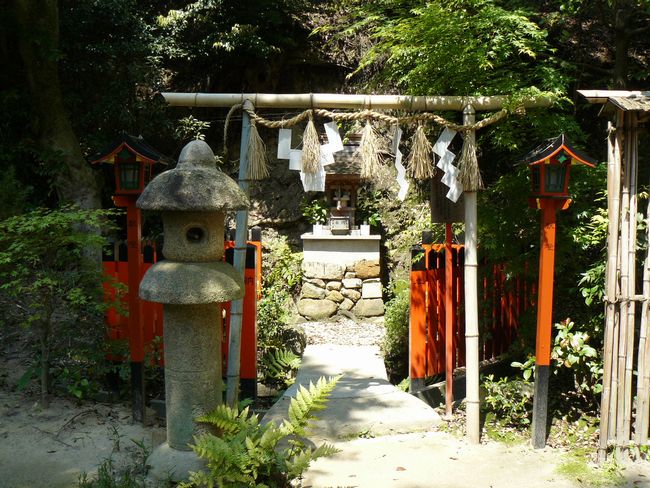 ���z�_��