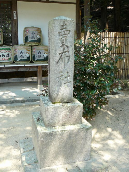 ���z�_��