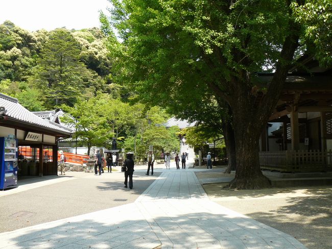 ���r�_������ 