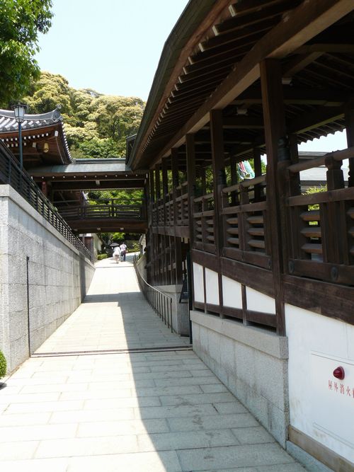 ���r�_������ 