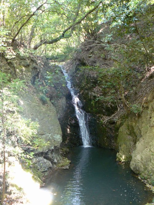 ���r�_������ 