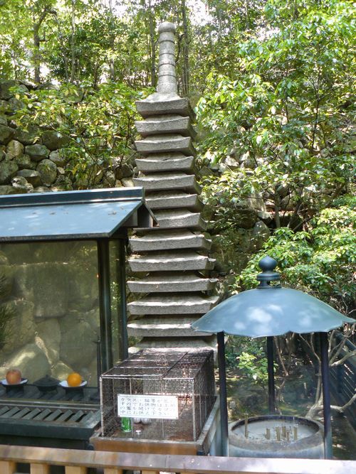 ���r�_������ 