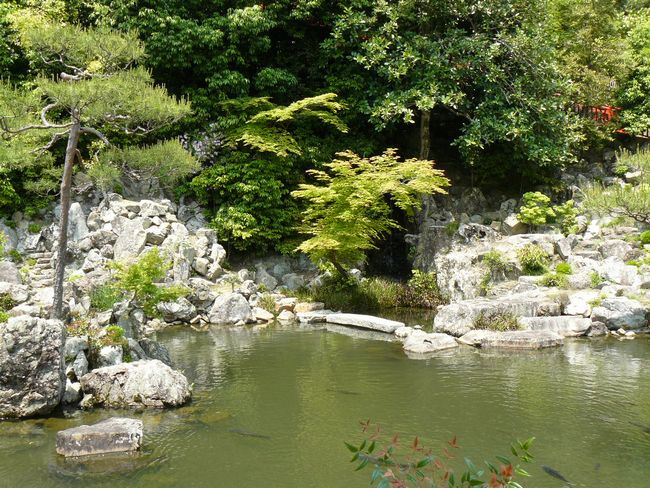 ���r�_������ 