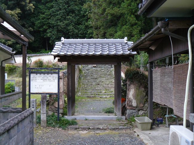 �D�c�ƕ_��