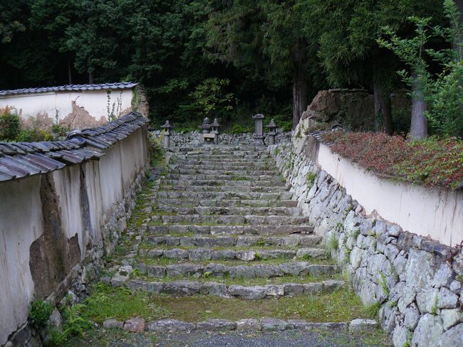 �D�c�ƕ_��