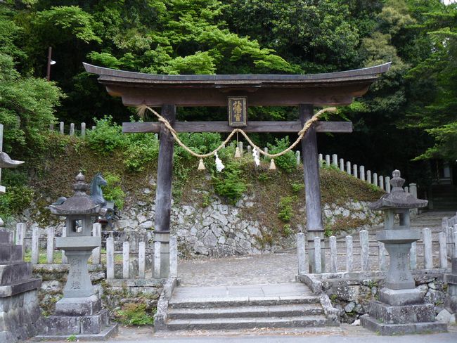 ���������_��