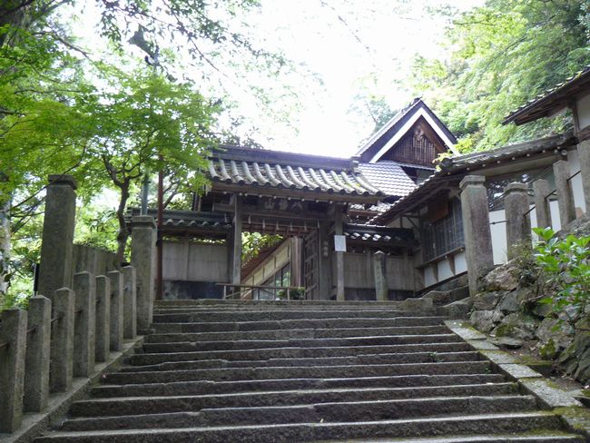 ���������_��