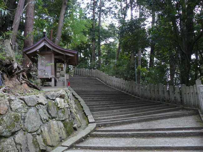 ���������_��