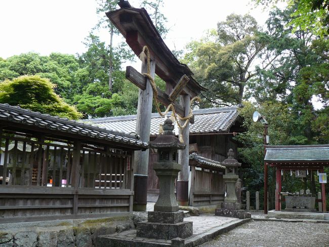 ���������_��