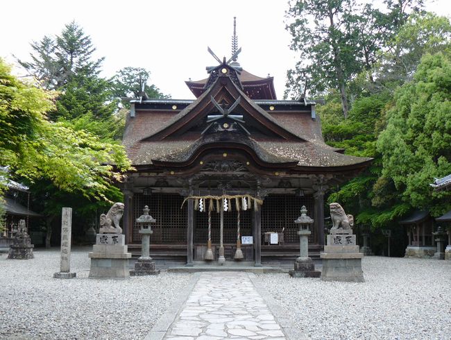 ���������_��