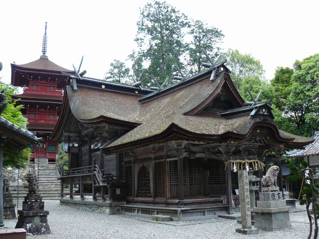 ���������_��