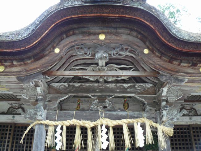 ���������_��