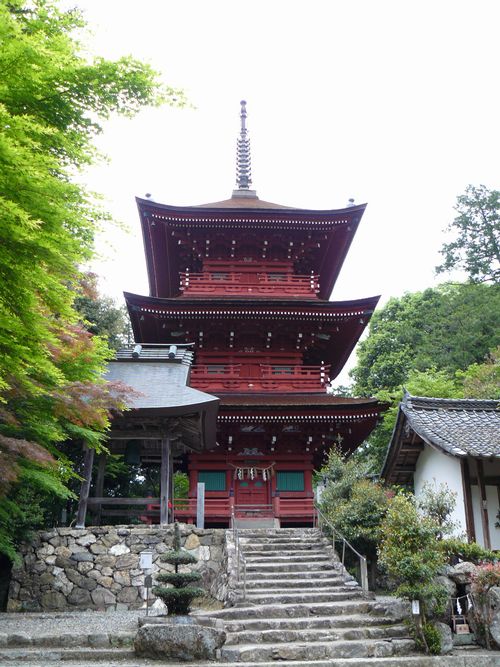 ���������_��