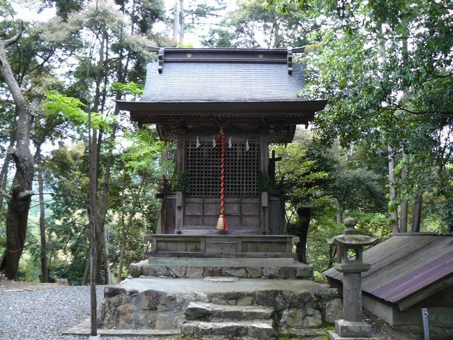 ���������_��