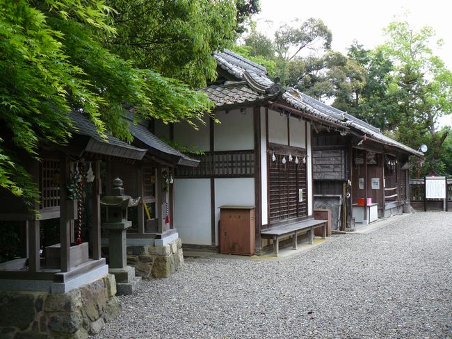 ���������_��