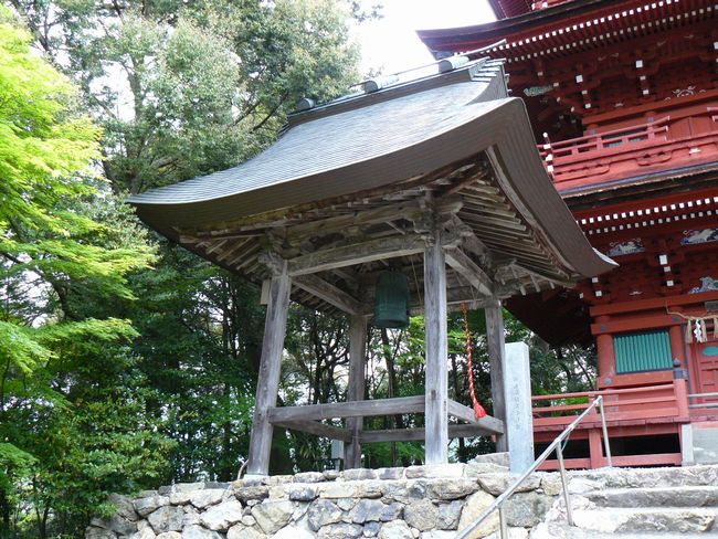 ���������_��