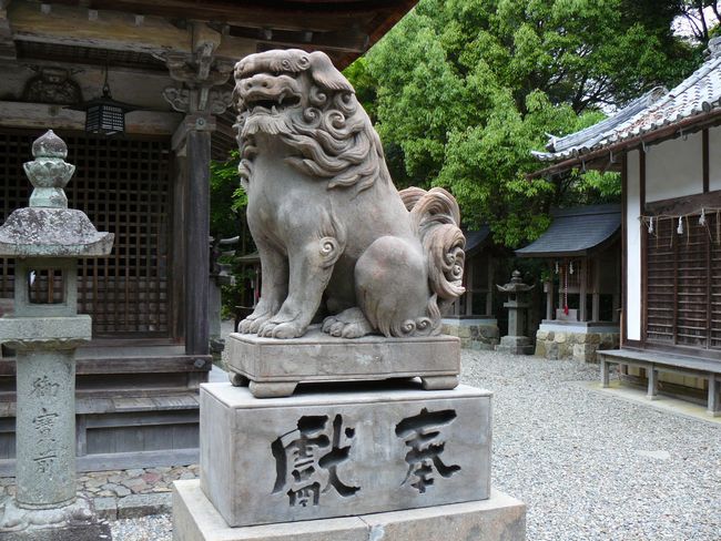 ���������_��