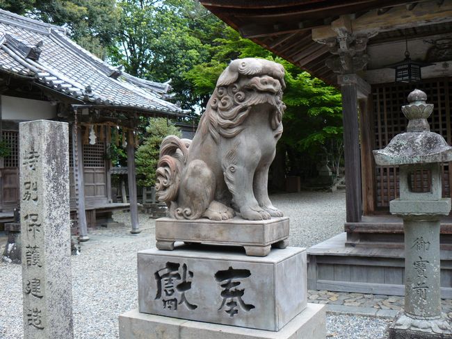 ���������_��