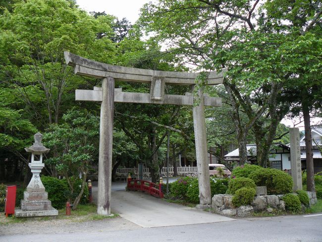 �C�\���_��