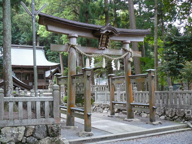 �C�\���_��