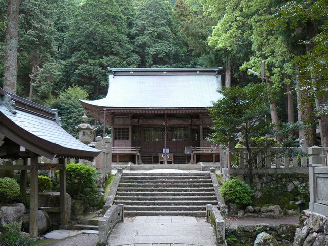 �C�\���_��