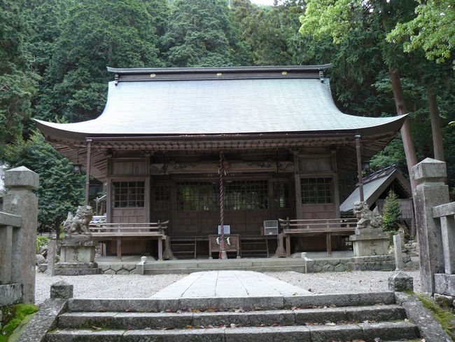 �C�\���_��