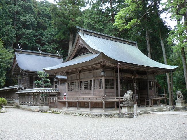 �C�\���_��