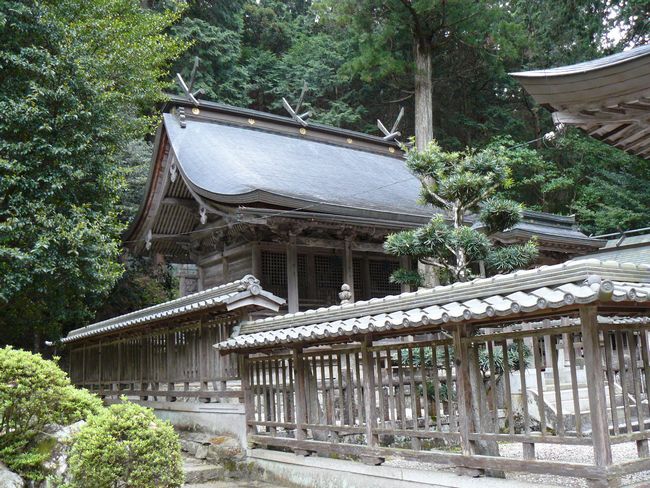 �C�\���_��