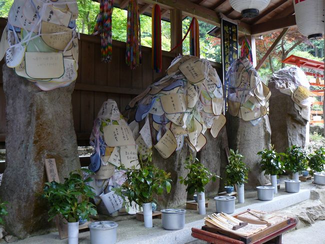 ��؂�n����