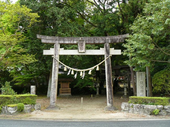 ���n�_��