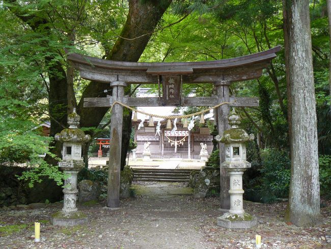 ���n�_��