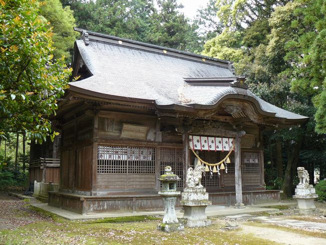 ���n�_��